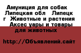 Амуниция для собак - Липецкая обл., Липецк г. Животные и растения » Аксесcуары и товары для животных   